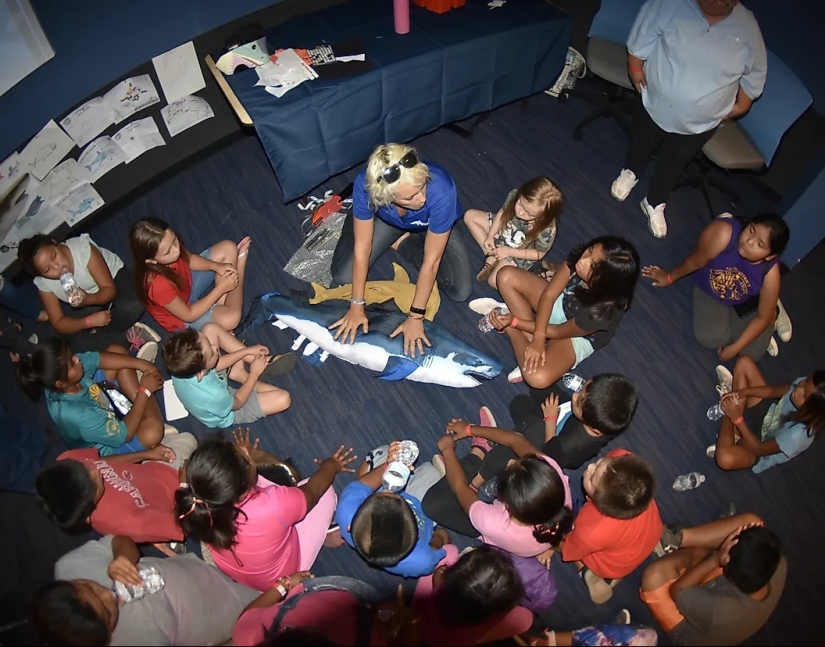 Conozca a 12 increíbles héroes de la conservación que salvan nuestra vida silvestre de la extinción