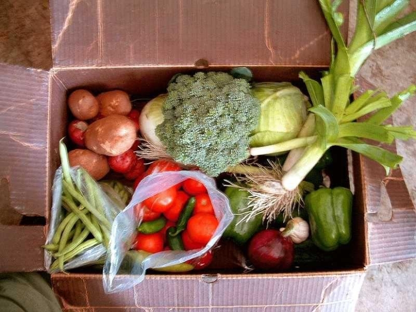 Consejos útiles para estar sano Consejos útiles para estar sano