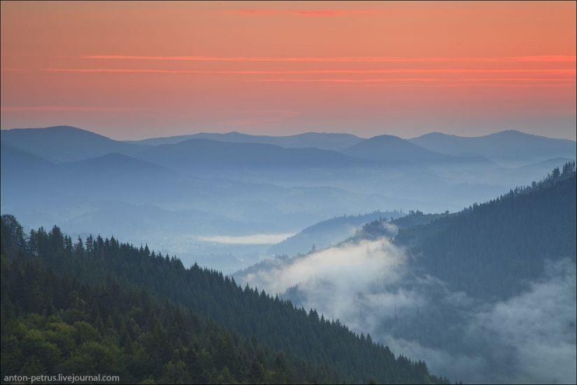 Corazón de Ucrania Corazón de Ucrania