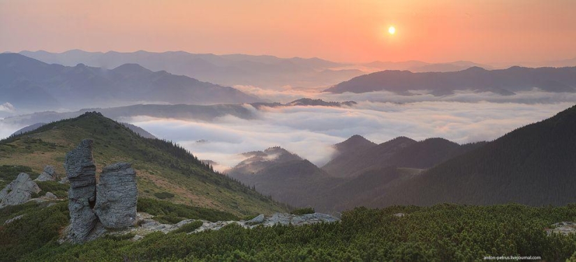 Corazón de Ucrania Corazón de Ucrania