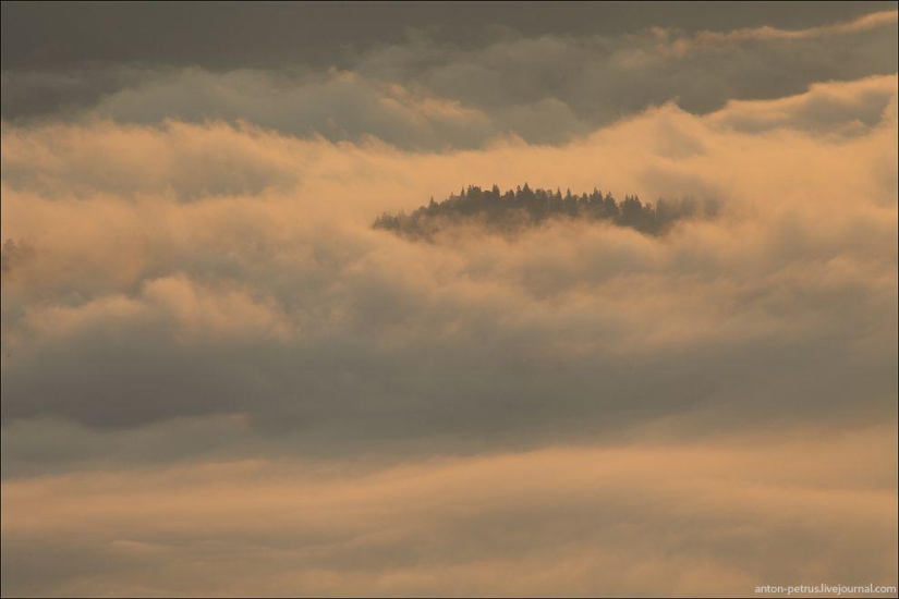 Corazón de Ucrania Corazón de Ucrania