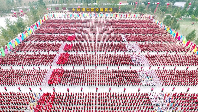 Coro de Kung Fu: 30 mil estudiantes de todo el mundo mostraron una clase en el monasterio Shaolin
