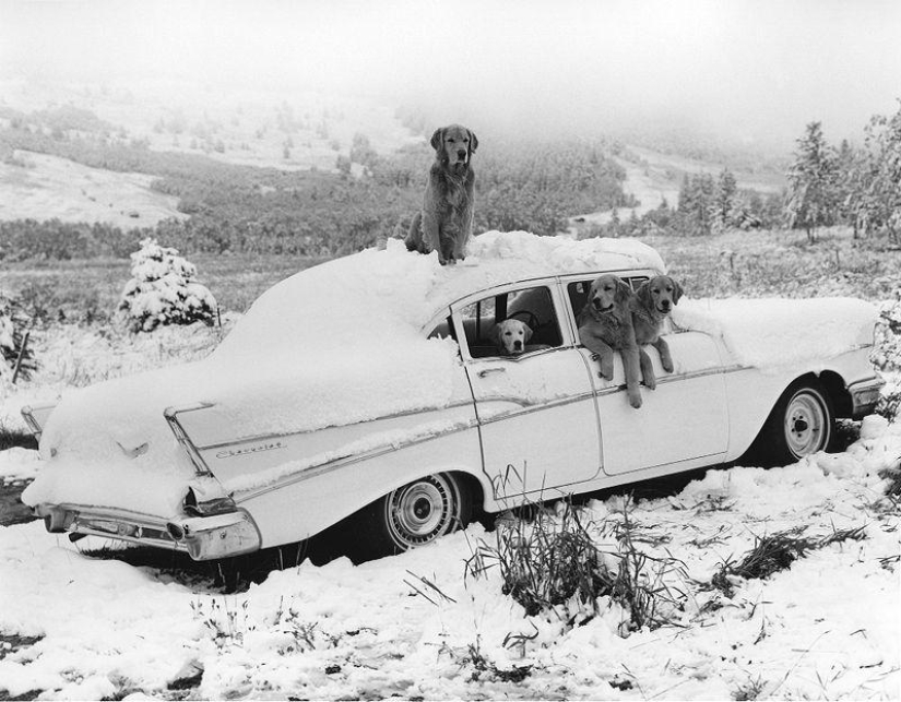 Correct fashion Correct fashion