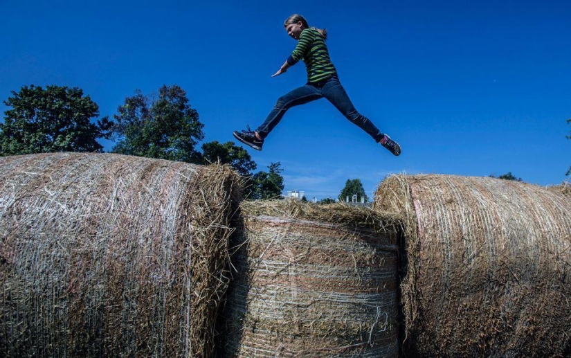 Cosecha 2013 Cosecha 2013