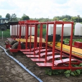 Cosecha de pepinos en bielorruso