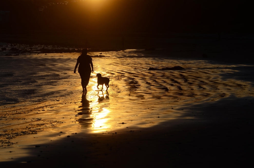 Costas de todo el mundo en imágenes