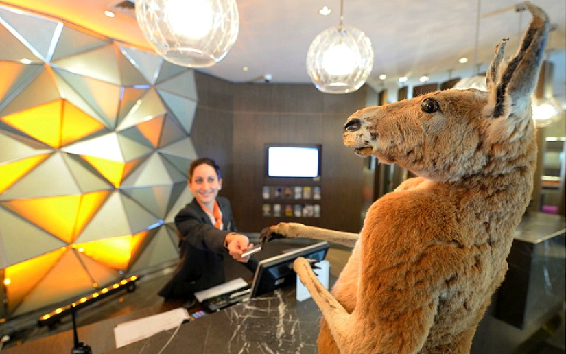 Creepy: scarecrow hotel in Sydney