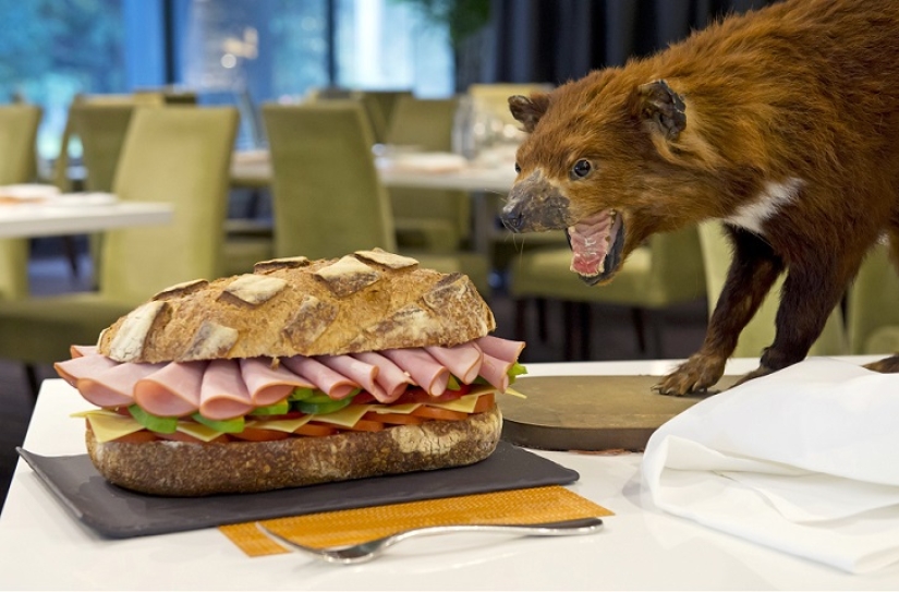 Creepy: scarecrow hotel in Sydney