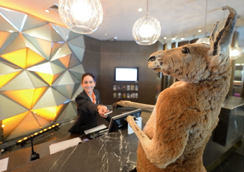 Creepy: scarecrow hotel in Sydney