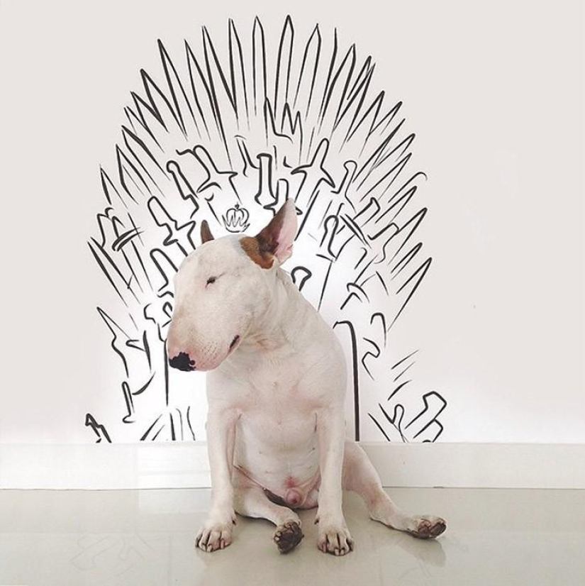 Cuando el perro está posando