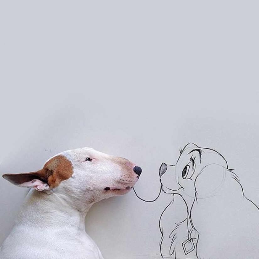 Cuando el perro está posando