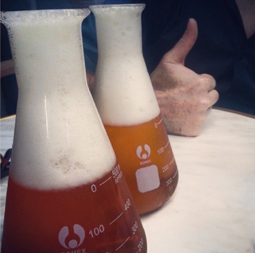 Cuál es la diferencia entre la comida hipster y la comida de una persona sana Cuál es la diferencia entre la comida hipster y la comida de una persona sana