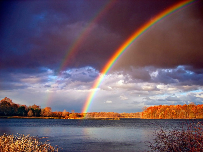 ¿Cuál es la realidad inversa?