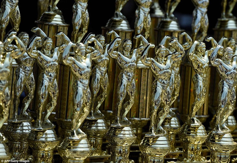 Culturistas estadounidenses vestidos con trajes de baño en honor al Día de los Caídos Culturistas estadounidenses vestidos con trajes de baño en honor al Día de los Caídos