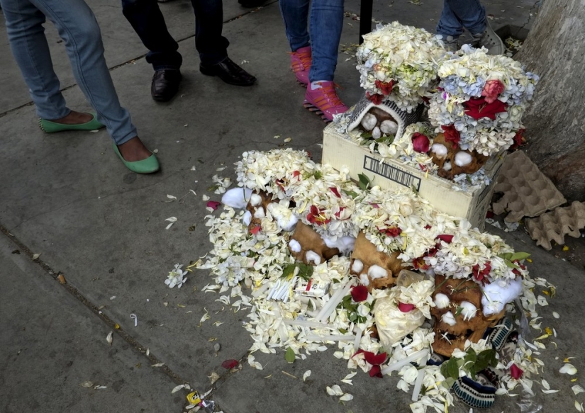 Día de la Calavera o Día de Muertos en Bolivia