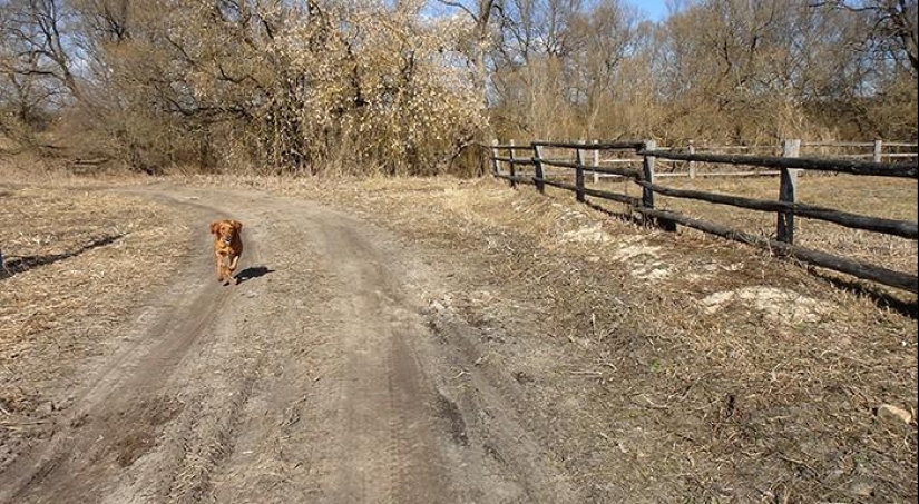 Día de primavera en el pueblo ruso