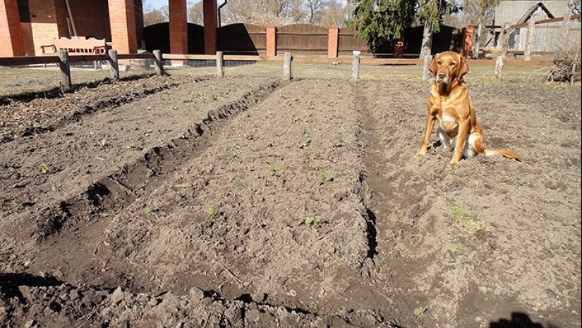 Día de primavera en el pueblo ruso