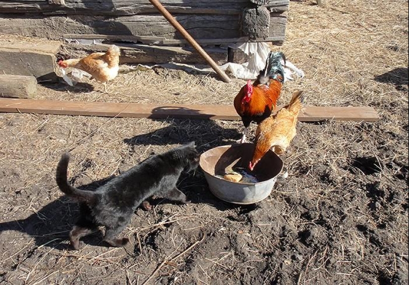 Día de primavera en el pueblo ruso
