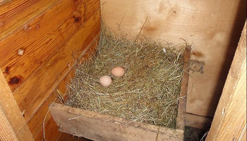 Día de primavera en el pueblo ruso
