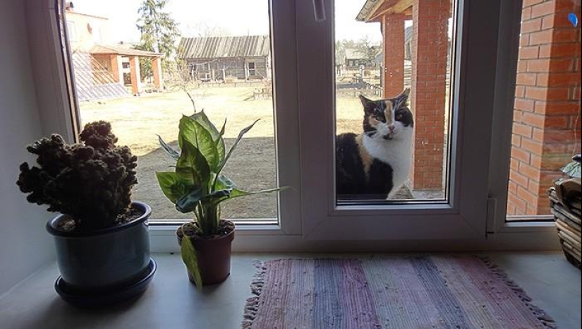 Día de primavera en el pueblo ruso