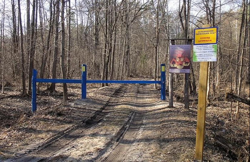 Día de primavera en el pueblo ruso