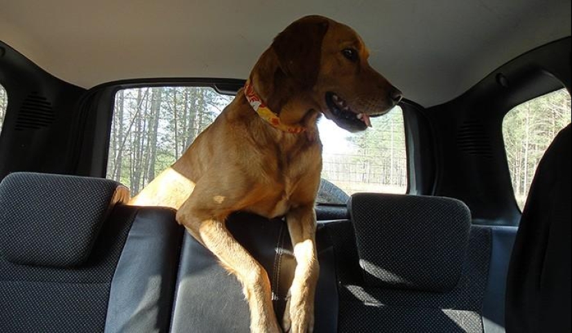 Día de primavera en el pueblo ruso