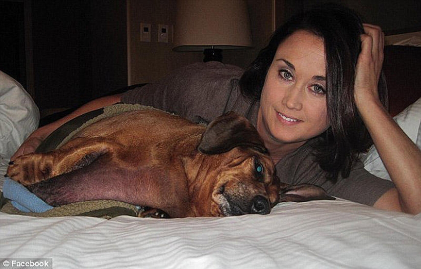 Dachshund que perdió 22 kg