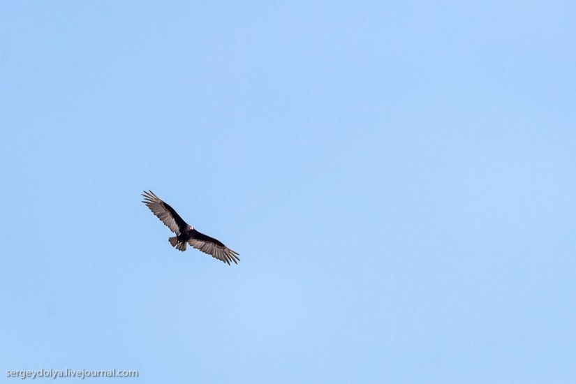 Dakar 2014. Dangerous race in the Chilean desert