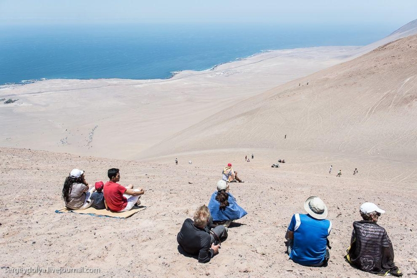 Dakar 2014. Dangerous race in the Chilean desert