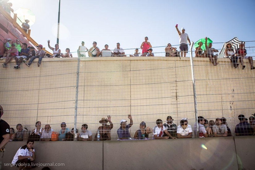 Dakar 2014. Primer día de carrera