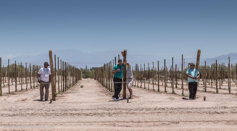 Dakar 2014. Wrong Turn
