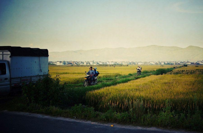 Dalí chino. Esto no es un artista. Esta ciudad Dalí chino. Esto no es un artista. Esta ciudad