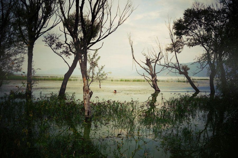 Dalí chino. Esto no es un artista. Esta ciudad Dalí chino. Esto no es un artista. Esta ciudad