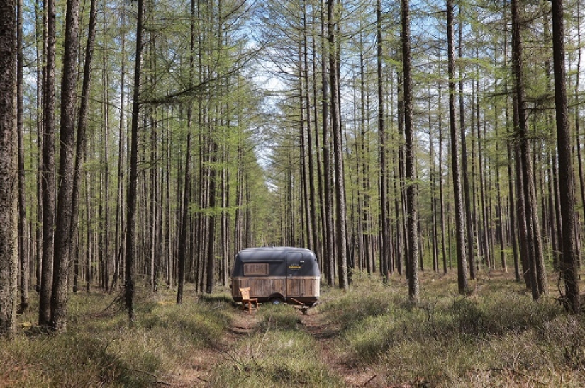 ¡De la oficina al bosque! ¡De la oficina al bosque!