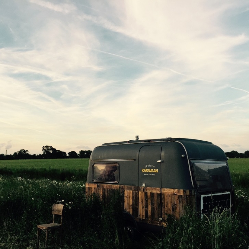 ¡De la oficina al bosque! ¡De la oficina al bosque!