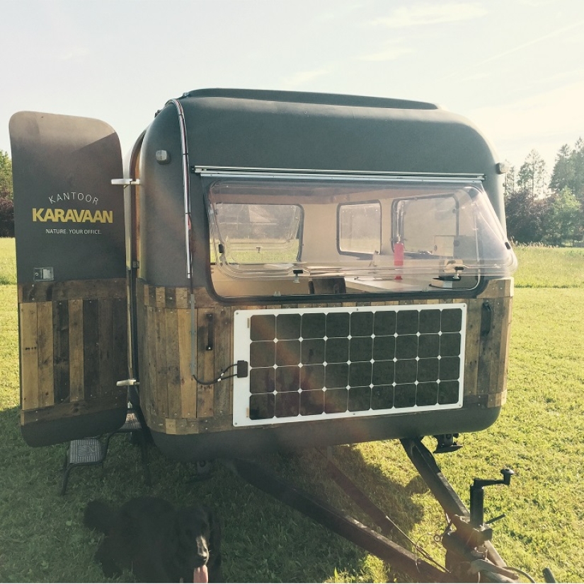 ¡De la oficina al bosque! ¡De la oficina al bosque!