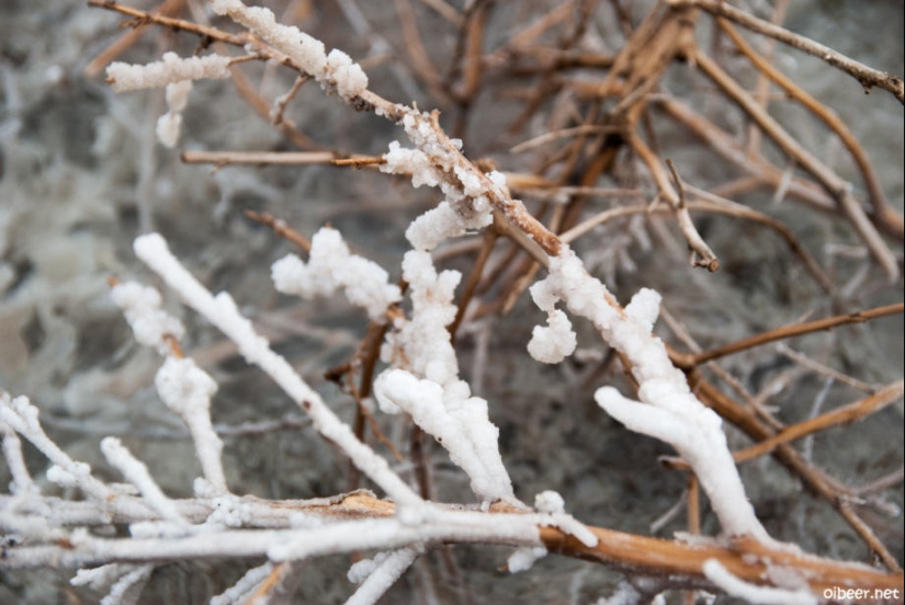 Dead Lake Baskunchak