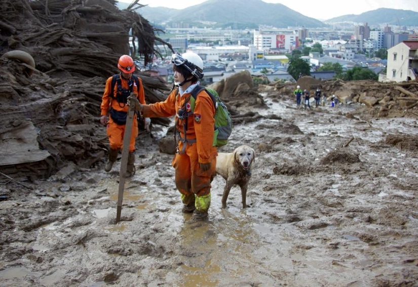 Deadly landslides hit Japan