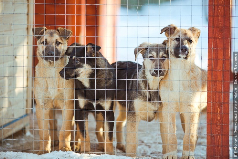 Deja de buscar excusas, comienza a ayudar Deja de buscar excusas, comienza a ayudar