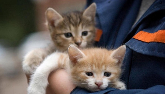 Deja de buscar excusas, comienza a ayudar Deja de buscar excusas, comienza a ayudar