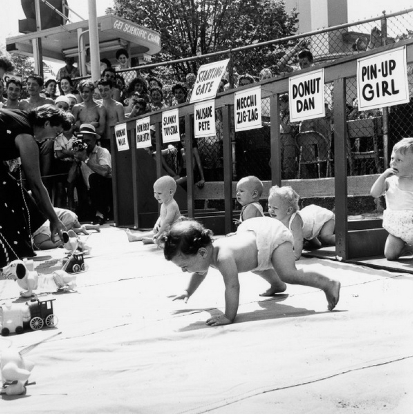 Derby in diapers: how were the retro races of crawling babies Derby in diapers: how were the retro races of crawling babies