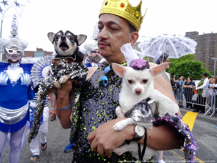 Desfile de sirenas: el buen espectáculo de monstruos de Brooklyn