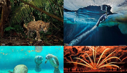 Desktop wallpaper from National Geographic March 2013 Desktop wallpaper from National Geographic March 2013