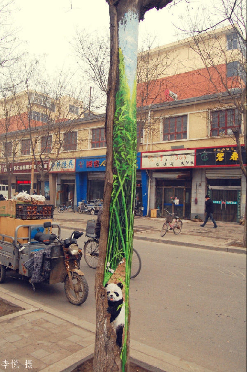 Dibujos en los árboles animan a la gente del pueblo Dibujos en los árboles animan a la gente del pueblo