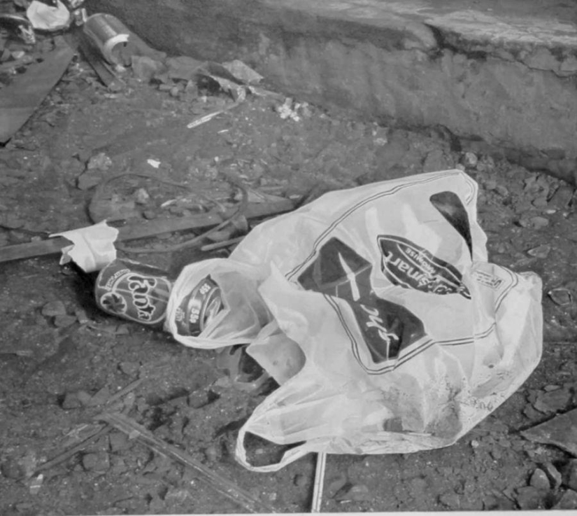 Dibujos similares a fotos Dibujos similares a fotos