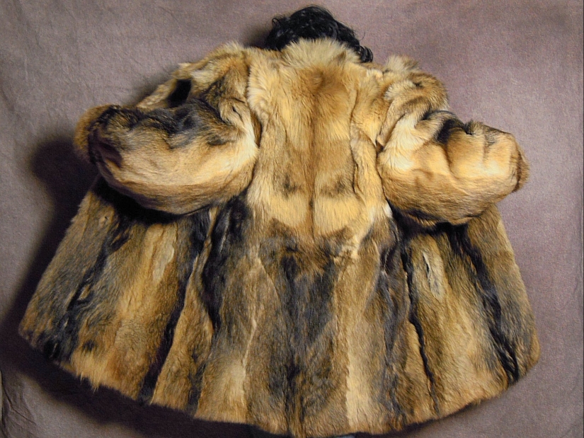 Difference between Russian and American friend