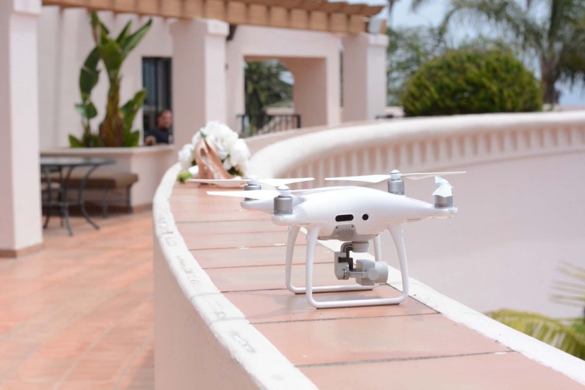 Digital research: a startup girl forced her wedding guests to take selfies and sit in social networks