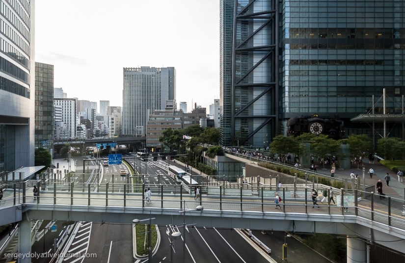 Disappointing Tokyo Disappointing Tokyo