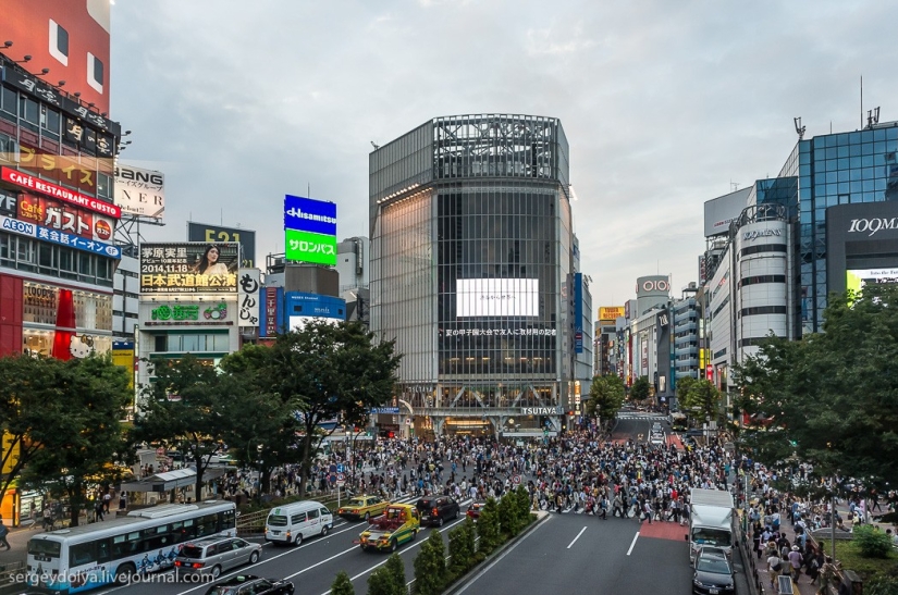 Disappointing Tokyo Disappointing Tokyo