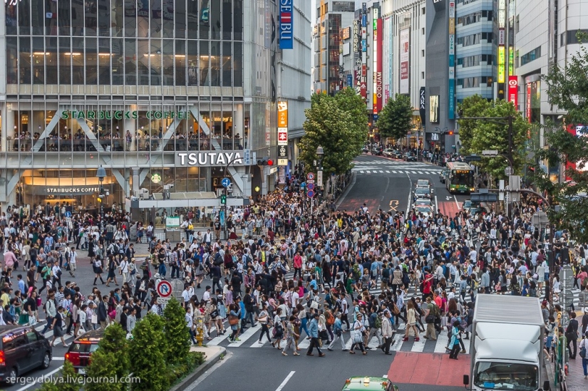 Disappointing Tokyo Disappointing Tokyo